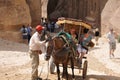 Jordan. Rocks. The road to the ancient city Petre.