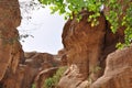 Jordan. Rocks. The road to the ancient city Petre.