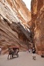 Jordan. Rocks. The road to the ancient city Petre.