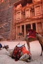 Jordan: Treasury in Petra Royalty Free Stock Photo