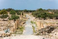 Jordan the Umm Qais Roman ruin