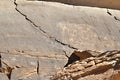 Jordan, Wadi Rum, rock graving