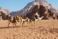 Jordanian man moves by the sand desert with his camels in Wadi Rum, Jordan. Royalty Free Stock Photo