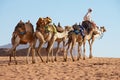 Jordanian man moves by the sand desert with his camels in Wadi Rum, Jordan. Royalty Free Stock Photo