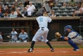 Jorge Mateo, Charleston RiverDogs Royalty Free Stock Photo