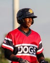 Jorge Mateo Charleston RiverDogs Royalty Free Stock Photo