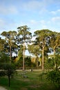 Jose Antonio Pernas Peon Park in the city of Viveiro, Lugo, Galicia. Spain. Europe. September 30, 2019