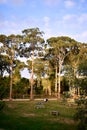 Jose Antonio Pernas Peon Park in the city of Viveiro, Lugo, Galicia. Spain. Europe. September 30, 2019 Royalty Free Stock Photo