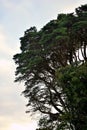 Jose Antonio Pernas Peon Park in the city of Viveiro, Lugo, Galicia. Spain. Europe. September 30, 2019