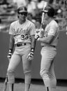 Jose Canseco and Mark McGwire Oakland A`s
