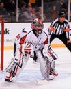Jose Theodore Washington Capitals Royalty Free Stock Photo