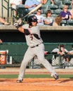 Jose Trevino, Hickory Crawdads