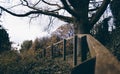 Gardens of the chalice well Royalty Free Stock Photo