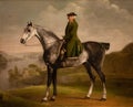 Joseph Smyth Esq on a dapple grey horse, George Stubbs Royalty Free Stock Photo