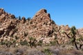 Joshua, mesquite trees and scrub brush in front of and growing on mountainous rock formations on Hidden Valley Picnic Area Trail Royalty Free Stock Photo