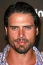 Joshua Morrow, Pink Royalty Free Stock Photo