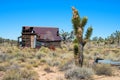 Joshua tree and abandoned house Royalty Free Stock Photo