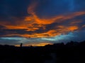 Joshua Tree California at Sunset