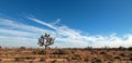 Joshua Tree cloudscape in Southern California high desert near Palmdale California Royalty Free Stock Photo