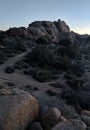 Joshua Tree Desert Boulders, Sundown