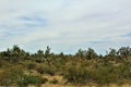 Joshua Tree Forest Parkway, Scenic Route 93, Arizona, United States