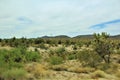 Joshua Tree Forest Parkway, Scenic Route 93, Arizona, United States Royalty Free Stock Photo