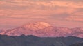 Joshua Tree Heights