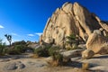 Joshua Tree National Park Royalty Free Stock Photo