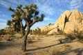 Joshua Tree National Park Royalty Free Stock Photo