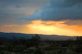 Joshua tree national park sunset in California Royalty Free Stock Photo