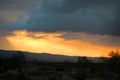 Joshua tree national park sunset in California Royalty Free Stock Photo