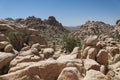 Joshua tree national park california hideen valley trail