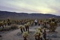 JOSHUA TREE NATIONAL PARK, CALIFORNIA, USA Ã¢â¬â DECEMBER 23, 2020: People with masks walking the trail in Cholla Cactus Garden of Royalty Free Stock Photo