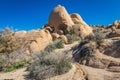 Skull Rock in Joshua Tree National Park Royalty Free Stock Photo