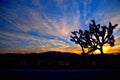 Joshua Tree National Park HDR