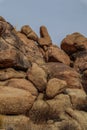 Joshua Tree National Park with its majestic desert landscape and beautiful rock formations and fauna Royalty Free Stock Photo