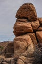 Joshua Tree National Park with its majestic desert landscape and beautiful rock formations and fauna Royalty Free Stock Photo