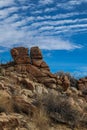 Joshua Tree National Park with its majestic desert landscape and beautiful rock formations and fauna Royalty Free Stock Photo