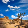 Joshua Tree National Park Jumbo Rocks Yucca valley Desert California Royalty Free Stock Photo