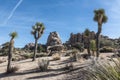 Joshua Tree National Park Landscape Royalty Free Stock Photo