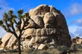 Joshua Tree National Park large rock formation