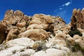 Joshua Tree National Park, Mojave Desert, California