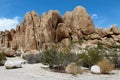 Joshua Tree National Park, Mojave Desert, California