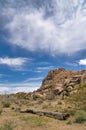 Joshua Tree National Park in the mojave desert of California with Joshua trees Royalty Free Stock Photo