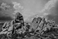 Joshua Tree National Park, Mojave Desert, California, USA Royalty Free Stock Photo