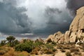 Joshua Tree National Park, Mojave Desert, California, USA Royalty Free Stock Photo