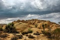 Joshua Tree National Park, Mojave Desert, California, USA Royalty Free Stock Photo