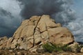 Joshua Tree National Park, Mojave Desert, California, USA Royalty Free Stock Photo