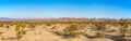 Joshua Tree National Park Royalty Free Stock Photo