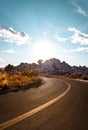 Joshua Tree National Park road during sunset Royalty Free Stock Photo